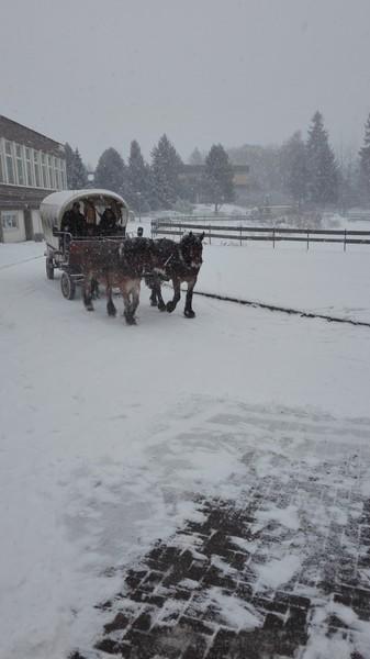 Haus Wiesengrund Friedrichsbrunn Luaran gambar